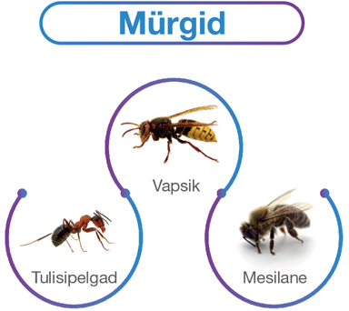 Peamised allergeenid: toiduained, mürgid ja ravimid. Allergeenid: toiduained (pähklid, koorikloomad, kala, muna), mürgid (putukamürgid), ravimid (käsimüügi või retseptiravimid).